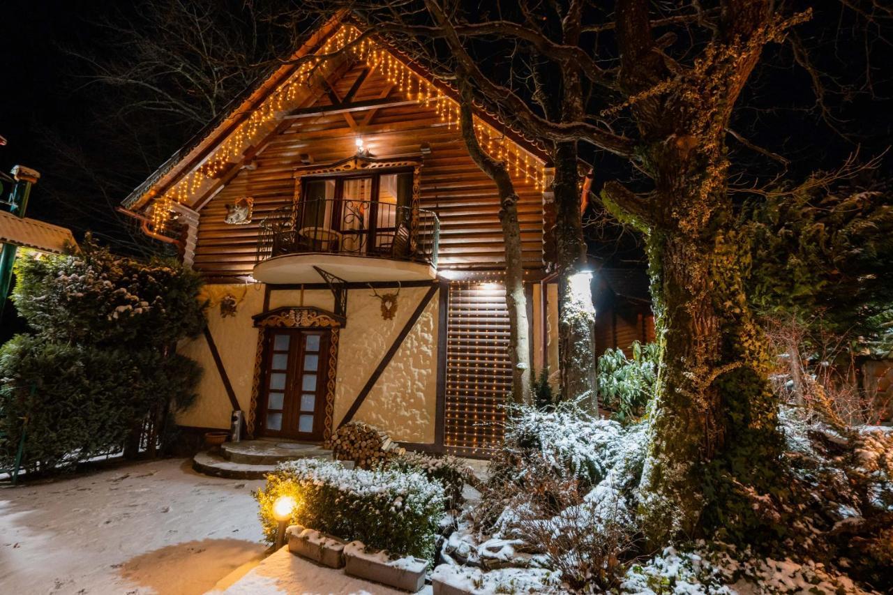 Villa Garden Hotel Солочин Экстерьер фото