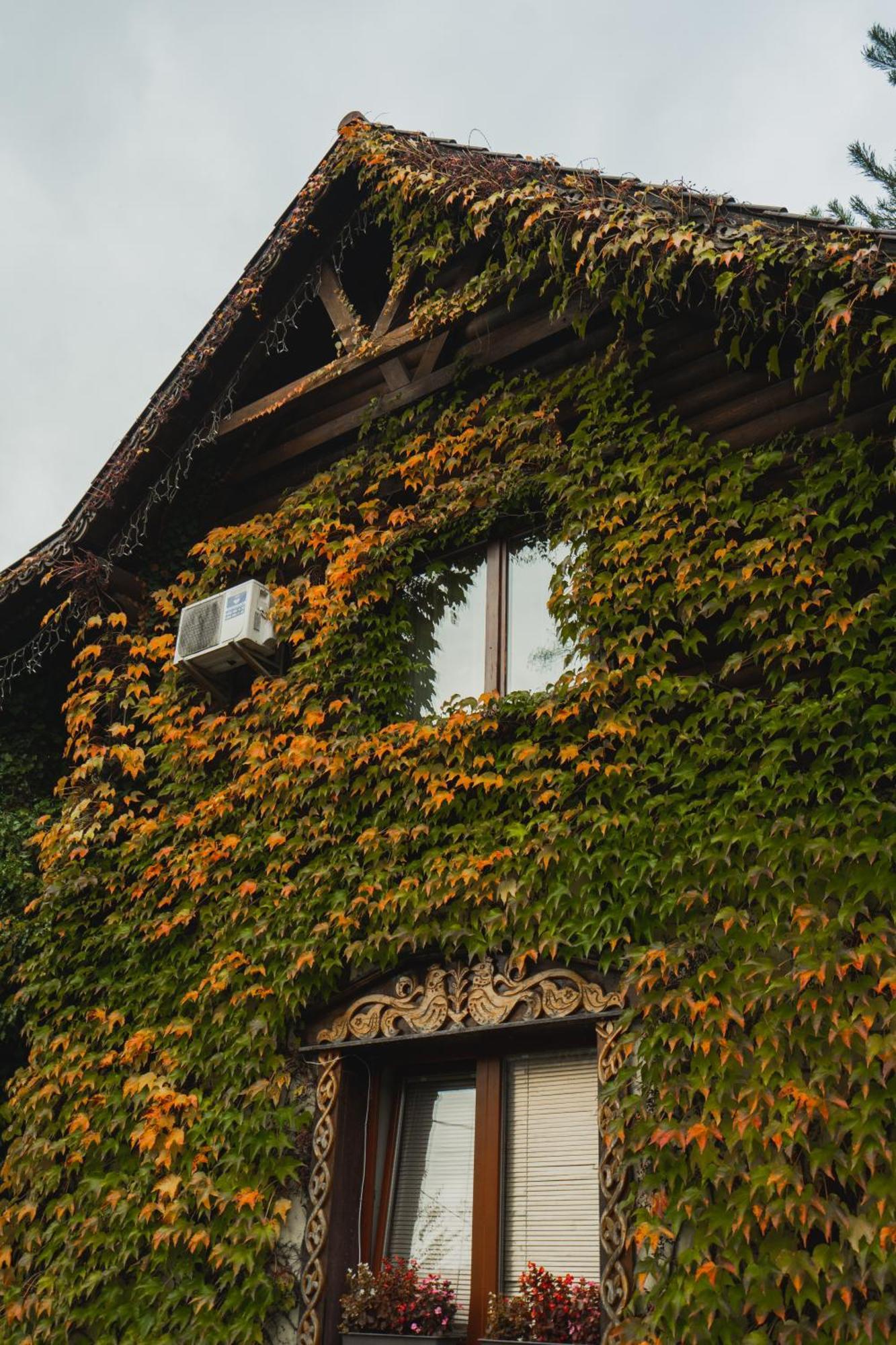 Villa Garden Hotel Солочин Экстерьер фото